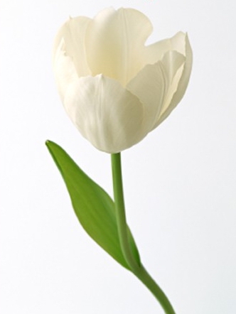 Ӣ