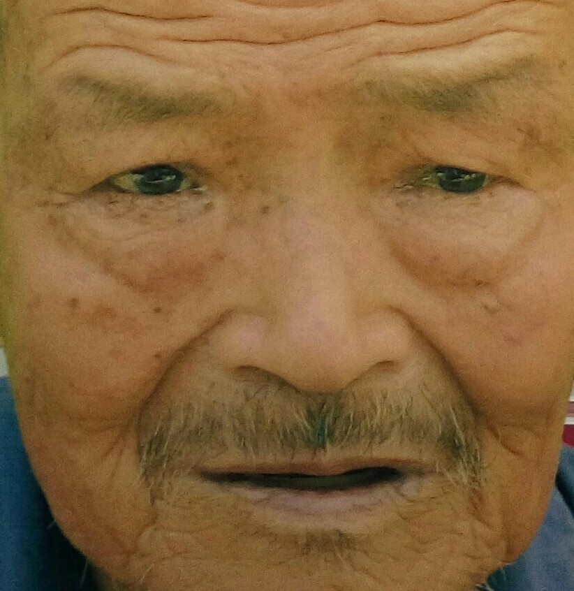 ï