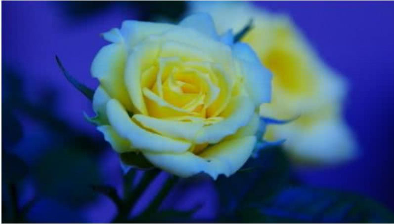 Ҽ