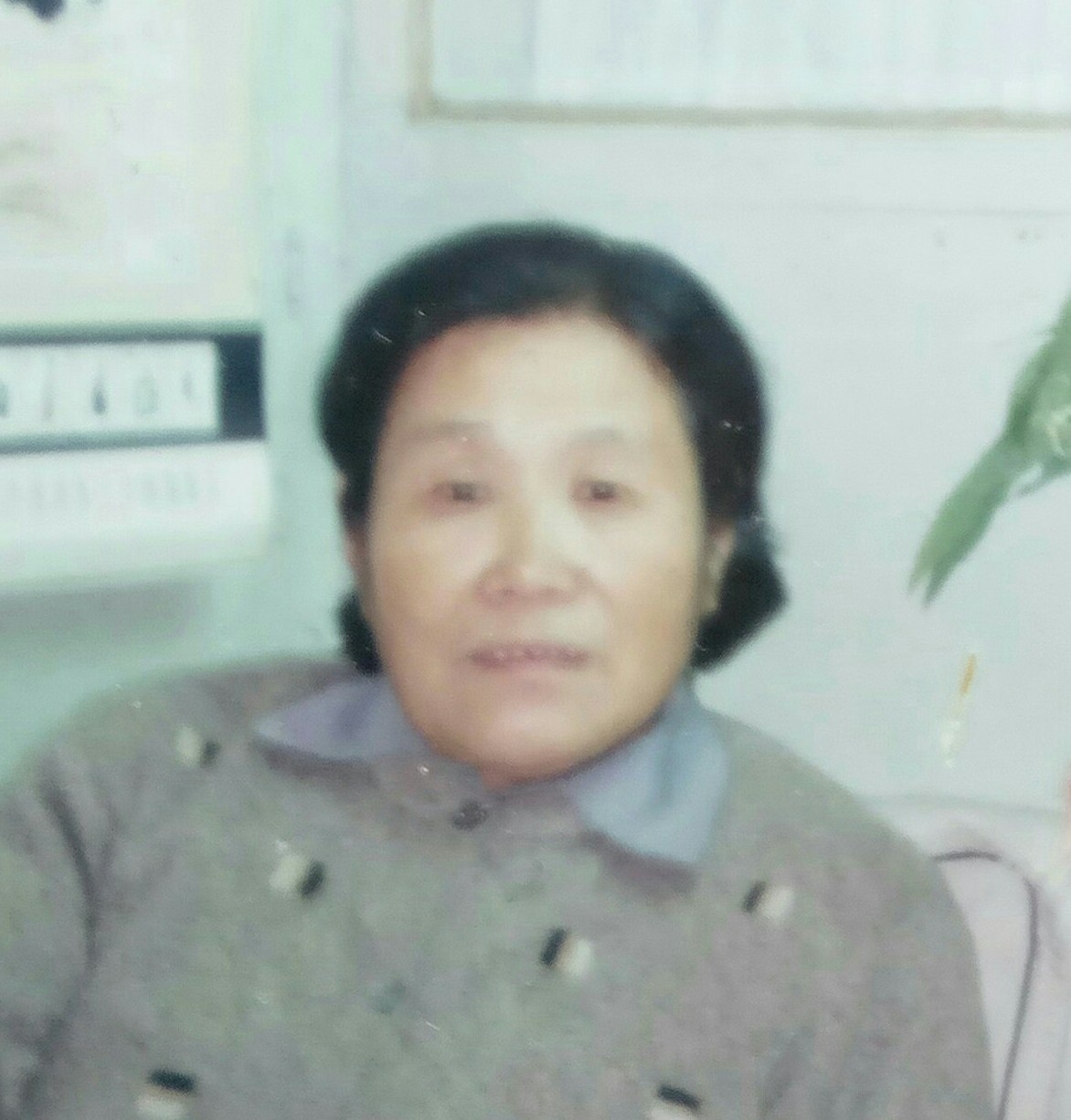 张秀芹网上纪念馆