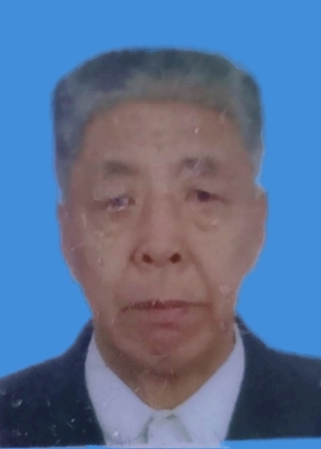 Ǽ