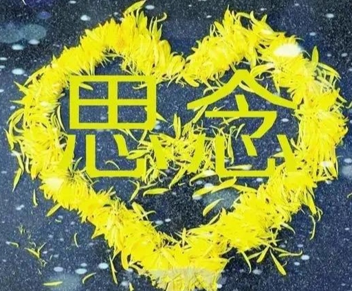 ۼ