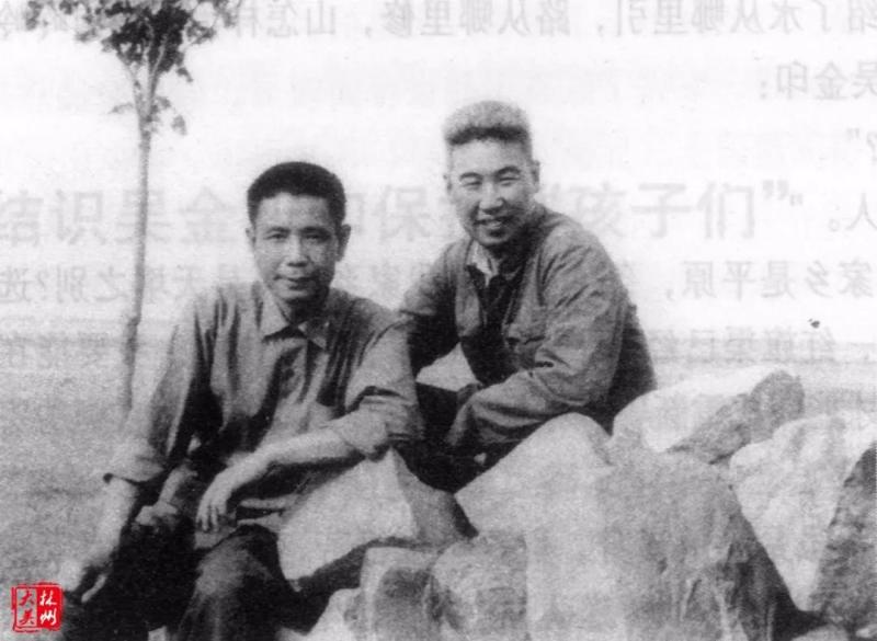 老书记杨贵
